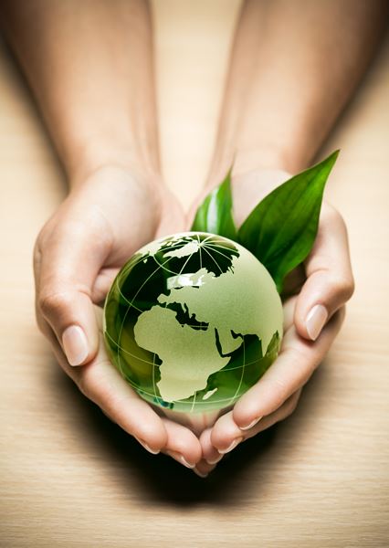 Shutterstock 62206432