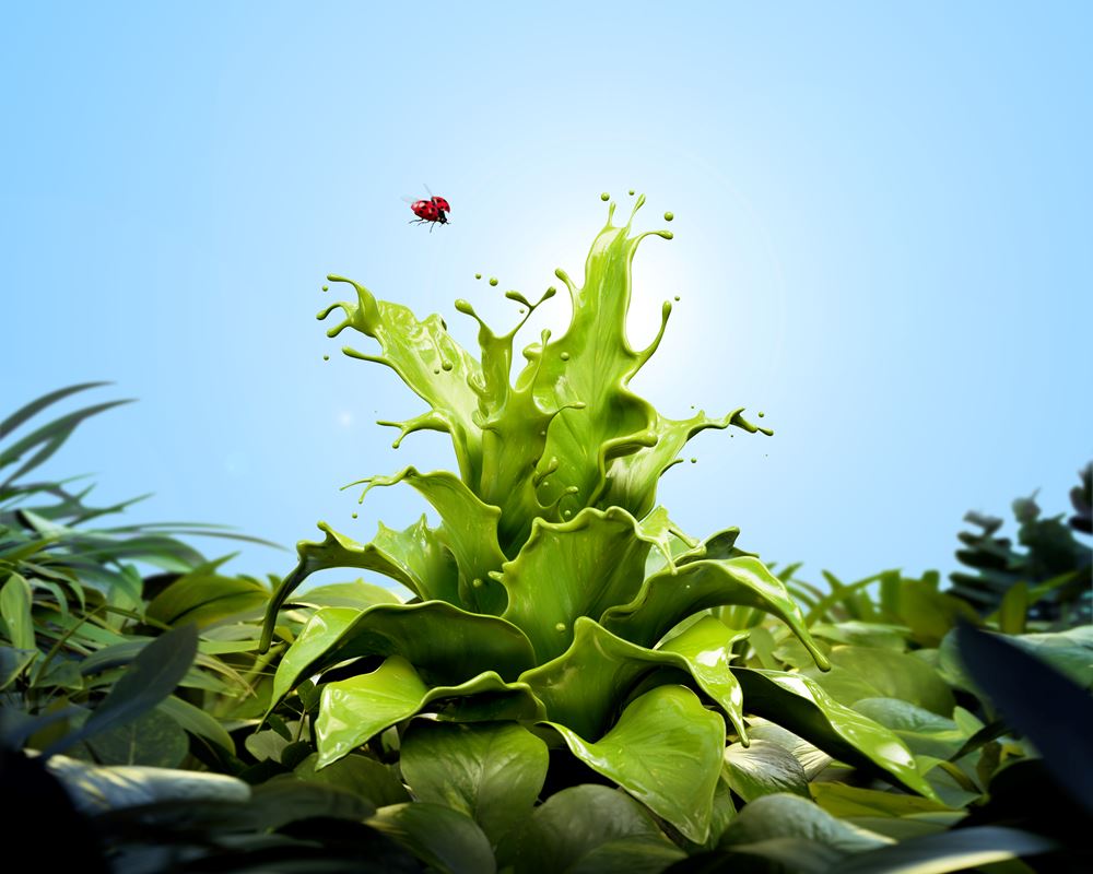 SW Conceptvisual Sustainability 2